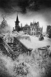 Graveyard Dirt : Of Romance and Fire